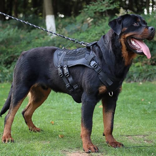 UUE Brustgeschirr für Mittelgroße Hunde, Hundegeschirr für Mittelgroße Verstellbar Hundegeschirr Grosse Ideal Für Aktive Abenteuer Im Freien für Hunde Spaziergang von UUE