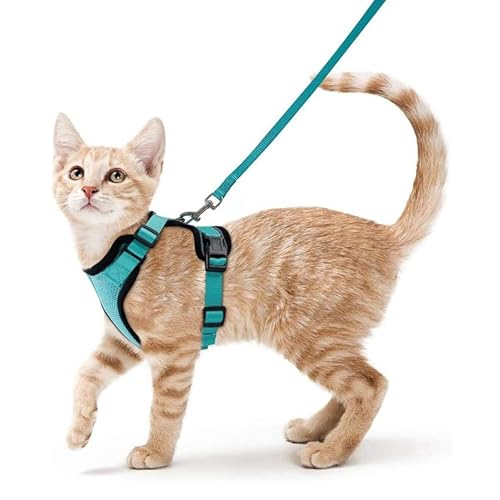 UUE Katzengeschirr, Katzenleine, Katzengeschirr mit Leine Softgeschirr, Katzenleine mit Geschirr für Katzen, Brustgeschirr Cat Harness, Verstellbar Katzengarnitur Ausbruchsicher Katzenweste, Grün UUE Katzengeschirr, Katzenleine, Katzengeschirr mit Leine Softgeschirr, Katzenleine mit Geschirr für Katzen, Brustgeschirr Cat Harness, Verstellbar Katzengarnitur Ausbruchsicher Katzenweste, Grün von UUE