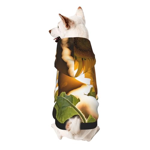 Hunde-Kapuzenpullover, stilvolle Hundekleidung, bedruckt, Haustierkleidung, Streetwear, Sweatshirt, Trainingsanzüge, Outfit für Hunde, Welpen, Größe M, Sonnenblumen, Sonne Hunde-Kapuzenpullover, stilvolle Hundekleidung, bedruckt, Haustierkleidung, Streetwear, Sweatshirt, Trainingsanzüge, Outfit für Hunde, Welpen, Größe M, Sonnenblumen, Sonne von UUYHHGB