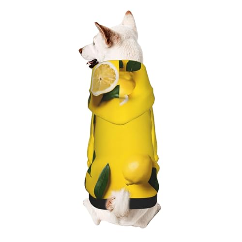 Hunde-Kapuzenpullover, stilvolle Hundekleidung, bedruckt, Haustierkleidung, Streetwear, Sweatshirt, Trainingsanzüge, Outfit für Hunde, Welpen, Größe XL, gelbe Zitrone Hunde-Kapuzenpullover, stilvolle Hundekleidung, bedruckt, Haustierkleidung, Streetwear, Sweatshirt, Trainingsanzüge, Outfit für Hunde, Welpen, Größe XL, gelbe Zitrone von UUYHHGB