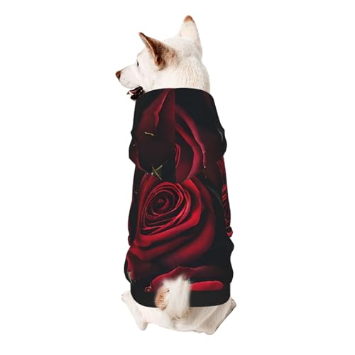Hunde-Kapuzenpullover, stilvolle Hundekleidung, bedruckt, Haustierkleidung, Streetwear, Sweatshirt, Trainingsanzüge, Outfit für Hunde, Welpen, Größe XXL, Rot und Schwarz Hunde-Kapuzenpullover, stilvolle Hundekleidung, bedruckt, Haustierkleidung, Streetwear, Sweatshirt, Trainingsanzüge, Outfit für Hunde, Welpen, Größe XXL, Rot und Schwarz von UUYHHGB