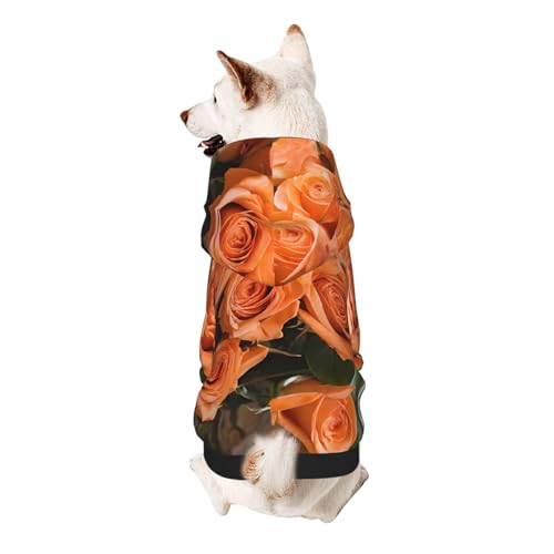 Hunde-Kapuzenpullover, stilvolle Hundekleidung, bedruckt, Haustierkleidung, Streetwear, Sweatshirt, Trainingsanzüge, Outfit für Hunde, Welpen, groß, rote Rose Hunde-Kapuzenpullover, stilvolle Hundekleidung, bedruckt, Haustierkleidung, Streetwear, Sweatshirt, Trainingsanzüge, Outfit für Hunde, Welpen, groß, rote Rose von UUYHHGB
