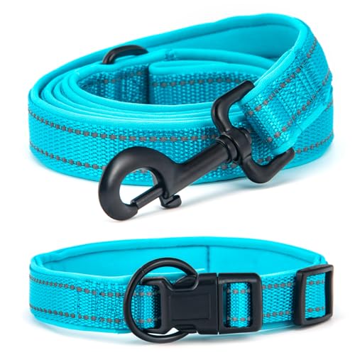 Bequemes Hundehalsband Set mit täglichem Halsband und Leine Blau M - Genießen Sie angenehme Erfahrungen mit Ihrem Haustier! von UVTQSSP