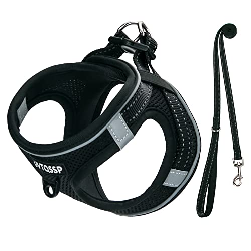 Hundegeschirr Kleine Hunde Schwarz Gepolstert, Welpengeschirr, Dog Harness Geschirr Hunde Klein XS von UVTQSSP