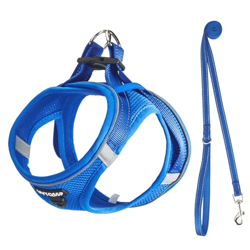 UVTQSSP Hundegeschirr Kleine Hunde mit Leine Gepolstert, Welpengeschirr, Dog Harness Hunde Geschirr Klein, Dunkelblau XXS von UVTQSSP