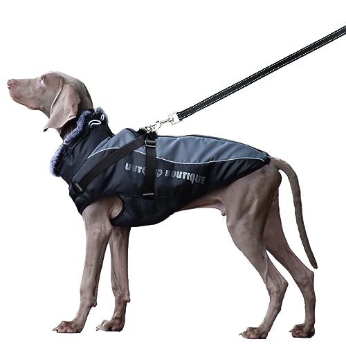 Winterweste Jacken Hundemantel mit Pelzkragen und reflektierendem Logo UVTQSSP - Vielseitige Hundetragejacke + Hundeleine Grau XL von UVTQSSP