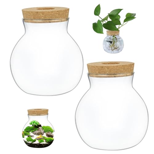 Terrariumglas, 2pcs transparentes rundes Glas Terrarium, Kaliber 2,6 Zoll Landschaftsgläser mit Korkdeckel, DIY -Pflanzen -Terrarium für Farn -Moos -Sukkulenten -Luftpflanzen s von UWEOTYYY