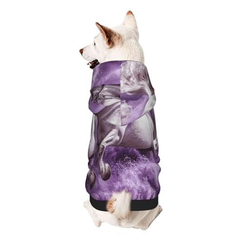 Aerial Fantasy Journey Hunde-Kapuzenpullover, weiches und atmungsaktives Polyester, Haustierkleidung für kleine Hunde, Jungen und Mädchen von UYHhgqw