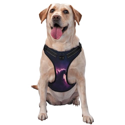 Angels In The Polar Night Hundegeschirr für kleine, mittelgroße und große Hunde, reflektierende Riemen, verstellbare Passform mit Schnellverschluss-Schnallen Angels In The Polar Night Hundegeschirr für kleine, mittelgroße und große Hunde, reflektierende Riemen, verstellbare Passform mit Schnellverschluss-Schnallen von UYHhgqw
