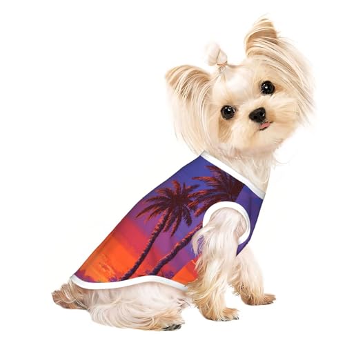 Dauerlicht der untergehenden Sonne Haustier-T-Shirts für Hunde, weiche und atmungsaktive Hundekleidung, einfaches An- und Ausziehen, geeignet für kleine Haustiere Dauerlicht der untergehenden Sonne Haustier-T-Shirts für Hunde, weiche und atmungsaktive Hundekleidung, einfaches An- und Ausziehen, geeignet für kleine Haustiere von UYHhgqw
