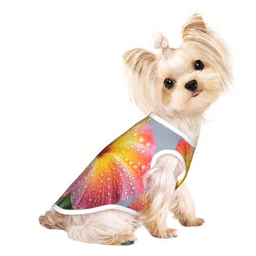 Flowers In Bloom Haustier-T-Shirts für Hunde, weiche und atmungsaktive Hundekleidung, einfaches An- und Ausziehen, geeignet für kleine Haustiere Flowers In Bloom Haustier-T-Shirts für Hunde, weiche und atmungsaktive Hundekleidung, einfaches An- und Ausziehen, geeignet für kleine Haustiere von UYHhgqw
