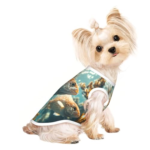 Freizeit-T-Shirt für Hunde, weiche und atmungsaktive Hundekleidung, einfaches An- und Ausziehen, geeignet für kleine Haustiere Freizeit-T-Shirt für Hunde, weiche und atmungsaktive Hundekleidung, einfaches An- und Ausziehen, geeignet für kleine Haustiere von UYHhgqw