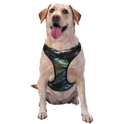 Frosch Wizard Hundegeschirr für kleine, mittelgroße und große Hunde, reflektierende Riemen, verstellbare Passform mit Schnellverschluss-Schnallen Frosch Wizard Hundegeschirr für kleine, mittelgroße und große Hunde, reflektierende Riemen, verstellbare Passform mit Schnellverschluss-Schnallen von UYHhgqw
