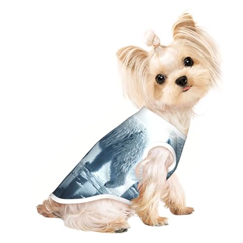 Haustier-T-Shirts für Hunde, Motiv: Eisbären in Gletschern, weiche und atmungsaktive Hundekleidung, einfaches An- und Ausziehen, geeignet für kleine Haustiere Haustier-T-Shirts für Hunde, Motiv: Eisbären in Gletschern, weiche und atmungsaktive Hundekleidung, einfaches An- und Ausziehen, geeignet für kleine Haustiere von UYHhgqw