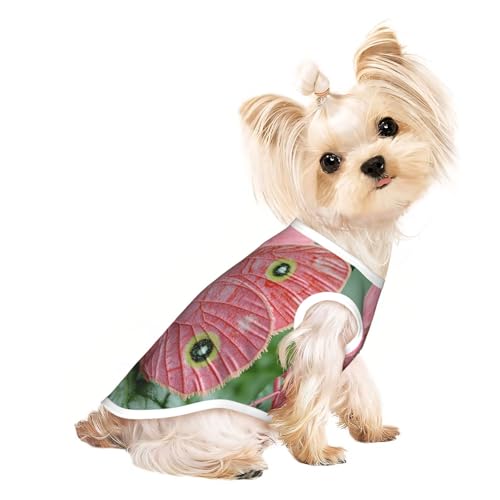 Haustier-T-Shirts für Hunde, Motiv: rosa Schmetterlinge, weiche und atmungsaktive Hundekleidung, einfaches An- und Ausziehen, geeignet für kleine Haustiere Haustier-T-Shirts für Hunde, Motiv: rosa Schmetterlinge, weiche und atmungsaktive Hundekleidung, einfaches An- und Ausziehen, geeignet für kleine Haustiere von UYHhgqw