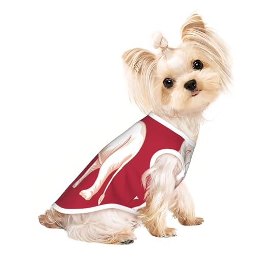Haustier-T-Shirts mit siamesischer Flagge für Hunde, weiche und atmungsaktive Hundekleidung, einfaches An- und Ausziehen, geeignet für kleine Haustiere Haustier-T-Shirts mit siamesischer Flagge für Hunde, weiche und atmungsaktive Hundekleidung, einfaches An- und Ausziehen, geeignet für kleine Haustiere von UYHhgqw