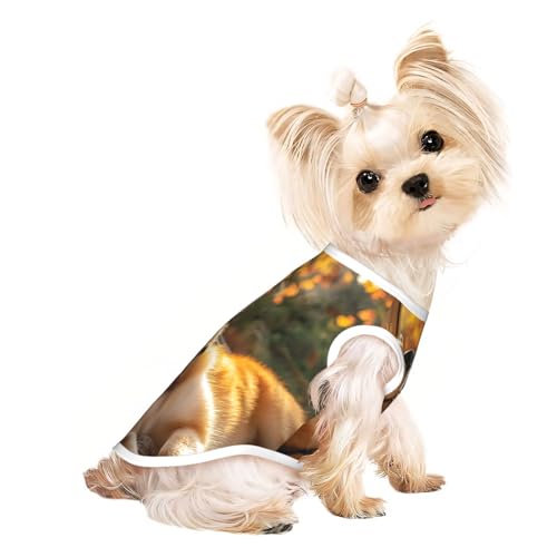 Hunde-T-Shirts mit Aufschrift "The Puppy in the Dream", weiche und atmungsaktive Hundekleidung, einfaches An- und Ausziehen, geeignet für kleine Haustiere Hunde-T-Shirts mit Aufschrift "The Puppy in the Dream", weiche und atmungsaktive Hundekleidung, einfaches An- und Ausziehen, geeignet für kleine Haustiere von UYHhgqw