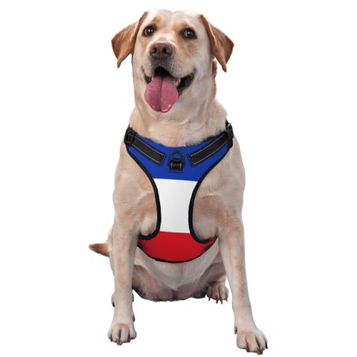 Hundegeschirr Flagge des Kantons Schleswig-Holstein für kleine, mittelgroße und große Hunde - reflektierende Riemen, verstellbare Passform mit Schnellverschluss-Schnallen Hundegeschirr Flagge des Kantons Schleswig-Holstein für kleine, mittelgroße und große Hunde - reflektierende Riemen, verstellbare Passform mit Schnellverschluss-Schnallen von UYHhgqw