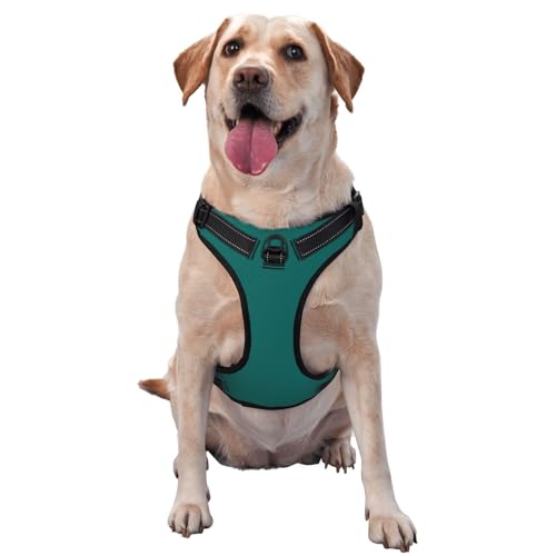 Hundegeschirr für kleine, mittelgroße und große Hunde, reflektierende Riemen, verstellbare Passform mit Schnellverschluss-Schnallen, natürliches Grün Hundegeschirr für kleine, mittelgroße und große Hunde, reflektierende Riemen, verstellbare Passform mit Schnellverschluss-Schnallen, natürliches Grün von UYHhgqw