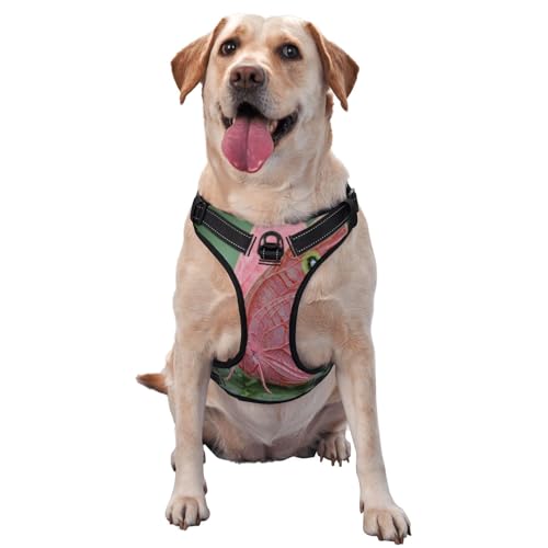 Hundegeschirr mit Schmetterlings-Motiv, für kleine, mittelgroße und große Hunde, reflektierende Riemen, verstellbare Passform, mit Schnellverschluss-Schnallen Hundegeschirr mit Schmetterlings-Motiv, für kleine, mittelgroße und große Hunde, reflektierende Riemen, verstellbare Passform, mit Schnellverschluss-Schnallen von UYHhgqw