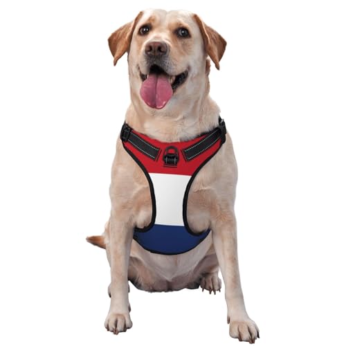 Hundegeschirr mit niederländischer Flagge für kleine, mittelgroße und große Hunde, reflektierende Riemen, verstellbare Passform mit Schnellverschluss-Schnallen von UYHhgqw