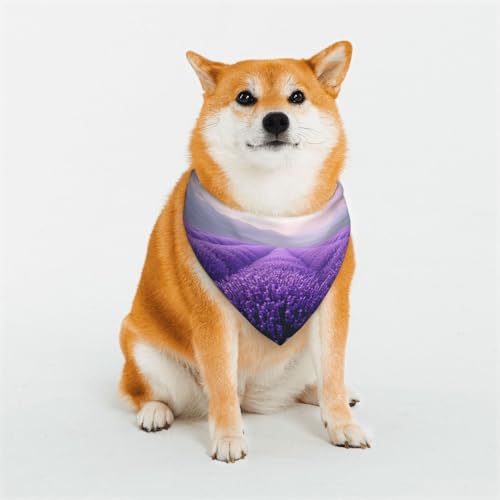 Hundehalstücher für kleine, mittelgroße und große Hunde, weich und bequem, für Jungen und Mädchen, ideal für Haustiere Hundehalstücher für kleine, mittelgroße und große Hunde, weich und bequem, für Jungen und Mädchen, ideal für Haustiere von UYHhgqw