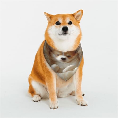 Hundehalstücher für kleine, mittelgroße und große Hunde, weich und bequem, für Jungen und Mädchen, ideal für Haustiere Hundehalstücher für kleine, mittelgroße und große Hunde, weich und bequem, für Jungen und Mädchen, ideal für Haustiere von UYHhgqw
