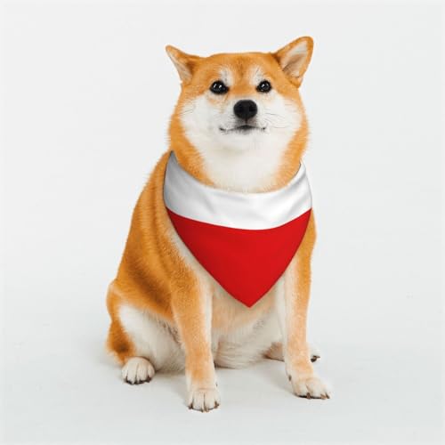 Hundehalstücher mit Thüringen-Flagge für kleine, mittelgroße und große Hunde, weich und bequem, für Jungen und Mädchen, ideal für Haustiere Hundehalstücher mit Thüringen-Flagge für kleine, mittelgroße und große Hunde, weich und bequem, für Jungen und Mädchen, ideal für Haustiere von UYHhgqw