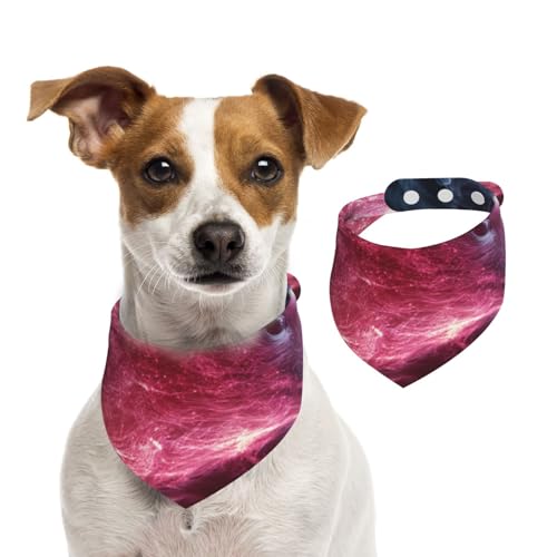 Hundehalstücher mit leuchtendem Igel, weich, bequem, verstellbare Passform für Jungen und Mädchen, drei Größen für Katzen und Hunde Hundehalstücher mit leuchtendem Igel, weich, bequem, verstellbare Passform für Jungen und Mädchen, drei Größen für Katzen und Hunde von UYHhgqw