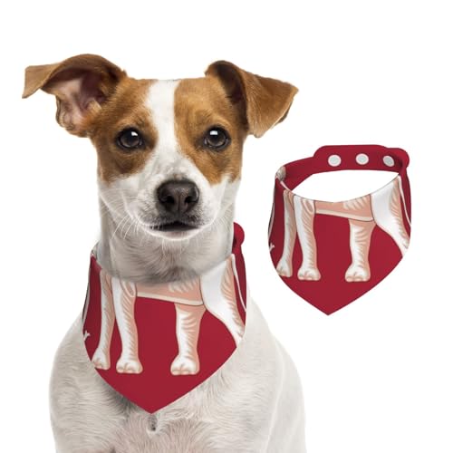 Hundehalstücher mit siamesischer Flagge, weich, bequem, verstellbare Passform für Jungen und Mädchen, drei Größen für Katzen und Hunde Hundehalstücher mit siamesischer Flagge, weich, bequem, verstellbare Passform für Jungen und Mädchen, drei Größen für Katzen und Hunde von UYHhgqw
