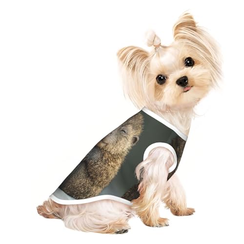 Igel-T-Shirt für Hunde, weiche und atmungsaktive Hundekleidung, einfaches An- und Ausziehen, geeignet für kleine Haustiere Igel-T-Shirt für Hunde, weiche und atmungsaktive Hundekleidung, einfaches An- und Ausziehen, geeignet für kleine Haustiere von UYHhgqw