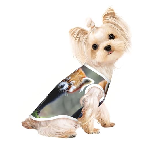 Lässige kleine Pandas Haustier-T-Shirts für Hunde, weiche und atmungsaktive Hundekleidung, einfaches An- und Ausziehen, geeignet für kleine Haustiere Lässige kleine Pandas Haustier-T-Shirts für Hunde, weiche und atmungsaktive Hundekleidung, einfaches An- und Ausziehen, geeignet für kleine Haustiere von UYHhgqw