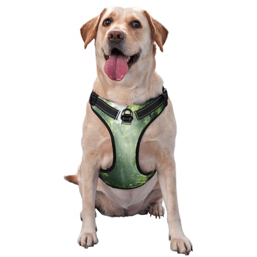 Lush Forest Hundegeschirr für kleine, mittelgroße und große Hunde - reflektierende Riemen, verstellbare Passform mit Schnellverschluss-Schnallen Lush Forest Hundegeschirr für kleine, mittelgroße und große Hunde - reflektierende Riemen, verstellbare Passform mit Schnellverschluss-Schnallen von UYHhgqw