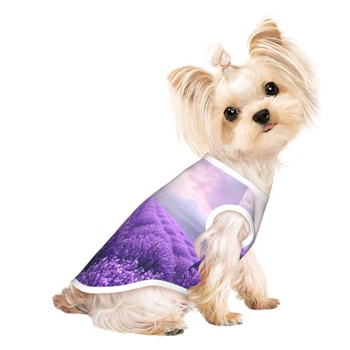 Lush lavender Haustier-T-Shirts für Hunde, weiche und atmungsaktive Hundekleidung, einfaches An- und Ausziehen, geeignet für kleine Haustiere Lush lavender Haustier-T-Shirts für Hunde, weiche und atmungsaktive Hundekleidung, einfaches An- und Ausziehen, geeignet für kleine Haustiere von UYHhgqw