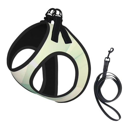 Minimalismus Hundegeschirr, atmungsaktiv, reflektierend, verstellbare Haustierweste, geeignet für kleine Katzen und Hunde Minimalismus Hundegeschirr, atmungsaktiv, reflektierend, verstellbare Haustierweste, geeignet für kleine Katzen und Hunde von UYHhgqw