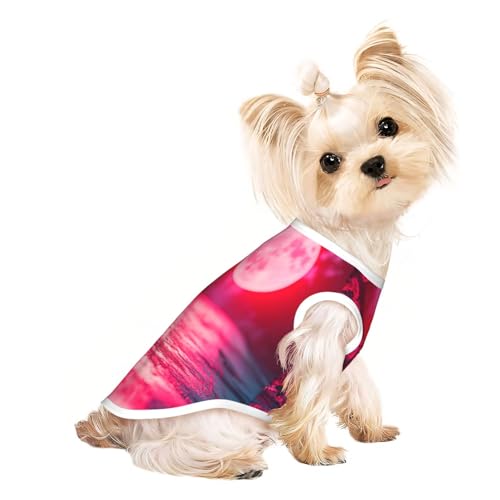 Neon Halo Haustier-T-Shirts für Hunde, weiche und atmungsaktive Hundekleidung, einfaches An- und Ausziehen, geeignet für kleine Haustiere Neon Halo Haustier-T-Shirts für Hunde, weiche und atmungsaktive Hundekleidung, einfaches An- und Ausziehen, geeignet für kleine Haustiere von UYHhgqw