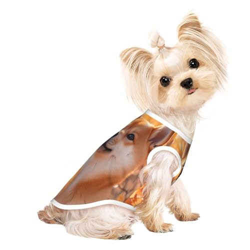 Niedliches Akita Inu Haustier-T-Shirt für Hunde, weiche und atmungsaktive Hundekleidung, einfaches An- und Ausziehen, geeignet für kleine Haustiere Niedliches Akita Inu Haustier-T-Shirt für Hunde, weiche und atmungsaktive Hundekleidung, einfaches An- und Ausziehen, geeignet für kleine Haustiere von UYHhgqw