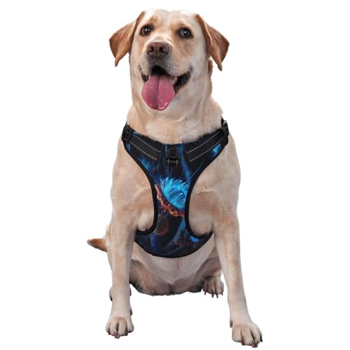 Night Charm Hundegeschirr für kleine, mittelgroße und große Hunde – reflektierende Riemen, verstellbare Passform mit Schnellverschluss-Schnallen Night Charm Hundegeschirr für kleine, mittelgroße und große Hunde – reflektierende Riemen, verstellbare Passform mit Schnellverschluss-Schnallen von UYHhgqw