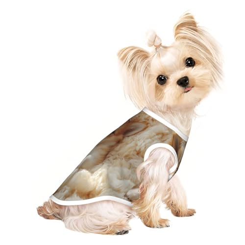 Pelzige Hunde-T-Shirts für Hunde, weiche und atmungsaktive Hundekleidung, einfaches An- und Ausziehen, geeignet für kleine Haustiere Pelzige Hunde-T-Shirts für Hunde, weiche und atmungsaktive Hundekleidung, einfaches An- und Ausziehen, geeignet für kleine Haustiere von UYHhgqw
