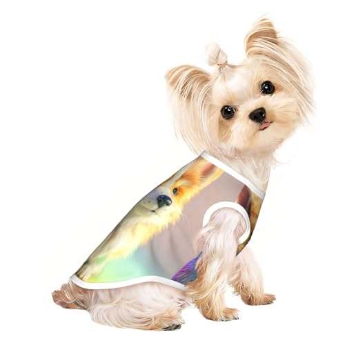 Rainbow Hunde-T-Shirts für Hunde, weiche und atmungsaktive Hundekleidung, einfaches An- und Ausziehen, geeignet für kleine Haustiere Rainbow Hunde-T-Shirts für Hunde, weiche und atmungsaktive Hundekleidung, einfaches An- und Ausziehen, geeignet für kleine Haustiere von UYHhgqw