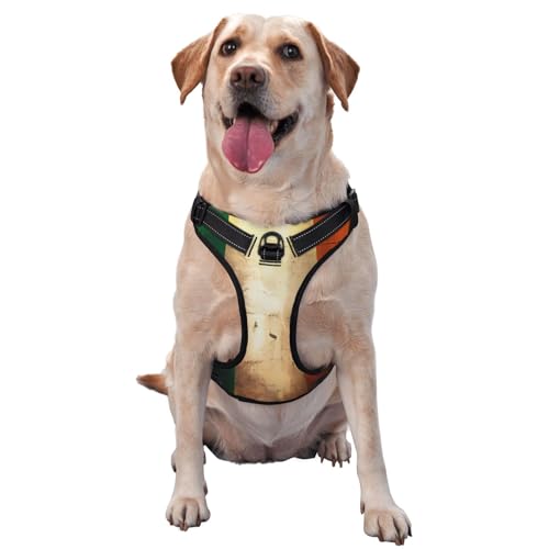 Retro Irish Flag Hundegeschirr für kleine, mittelgroße und große Hunde, reflektierende Riemen, verstellbare Passform mit Schnellverschluss-Schnallen von UYHhgqw