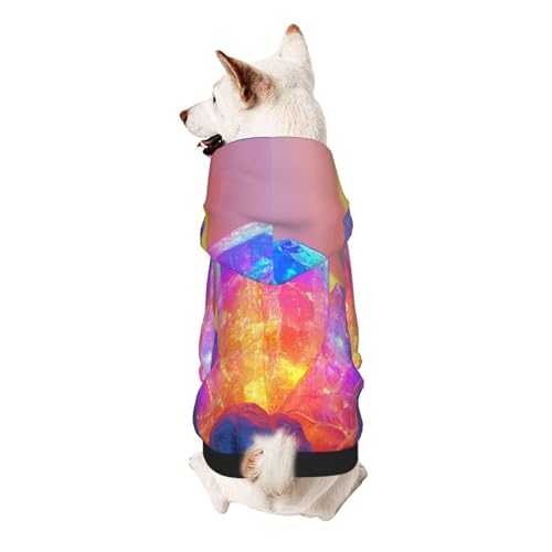 Sci-Fi-Kaktus-Kapuzenpullover, weiches und atmungsaktives Polyester, Haustierkleidung für kleine Hunde, Jungen und Mädchen Sci-Fi-Kaktus-Kapuzenpullover, weiches und atmungsaktives Polyester, Haustierkleidung für kleine Hunde, Jungen und Mädchen von UYHhgqw