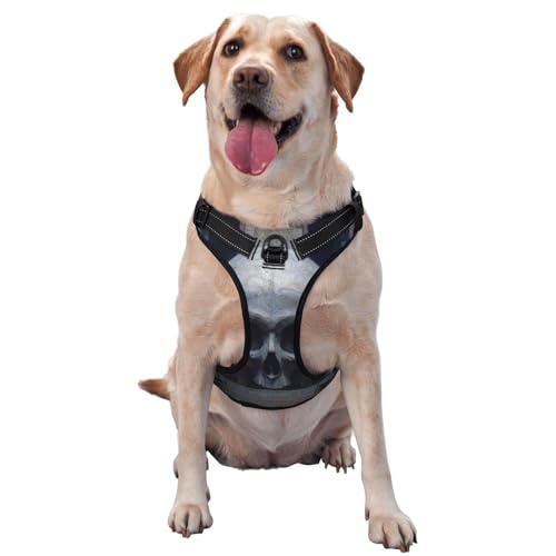 Skelett Hundegeschirr für kleine, mittelgroße und große Hunde – reflektierende Riemen, verstellbare Passform mit Schnellverschluss-Schnallen Skelett Hundegeschirr für kleine, mittelgroße und große Hunde – reflektierende Riemen, verstellbare Passform mit Schnellverschluss-Schnallen von UYHhgqw