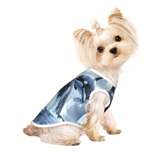 Smart Killer Wal Haustier-T-Shirts für Hunde, weiche und atmungsaktive Hundekleidung, einfaches An- und Ausziehen, geeignet für kleine Haustiere Smart Killer Wal Haustier-T-Shirts für Hunde, weiche und atmungsaktive Hundekleidung, einfaches An- und Ausziehen, geeignet für kleine Haustiere von UYHhgqw