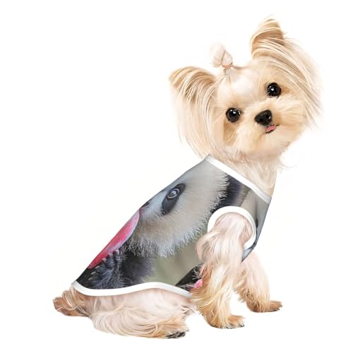 T-Shirt für Hunde, Motiv: Spielpanda, weiche und atmungsaktive Hundekleidung, einfaches An- und Ausziehen, geeignet für kleine Haustiere T-Shirt für Hunde, Motiv: Spielpanda, weiche und atmungsaktive Hundekleidung, einfaches An- und Ausziehen, geeignet für kleine Haustiere von UYHhgqw