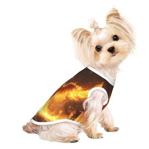 The Feury Red Phoenix Haustier-T-Shirts für Hunde, weiche und atmungsaktive Hundekleidung, einfaches An- und Ausziehen, geeignet für kleine Haustiere The Feury Red Phoenix Haustier-T-Shirts für Hunde, weiche und atmungsaktive Hundekleidung, einfaches An- und Ausziehen, geeignet für kleine Haustiere von UYHhgqw