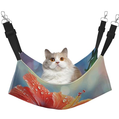 UYHhgqw Exotische Hibiskusblumen-Haustier-Hängematte, Samt-Hängematte für Katzen, verstellbare Gurte mit Metallhaken, perfekt für kleine Haustiere UYHhgqw Exotische Hibiskusblumen-Haustier-Hängematte, Samt-Hängematte für Katzen, verstellbare Gurte mit Metallhaken, perfekt für kleine Haustiere von UYHhgqw