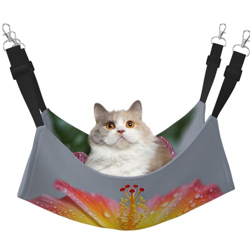 UYHhgqw Flower In Bloom Haustier-Hängematte, Samt-Hängematte für Katzen, verstellbare Gurte mit Metallhaken, perfekt für kleine Haustiere UYHhgqw Flower In Bloom Haustier-Hängematte, Samt-Hängematte für Katzen, verstellbare Gurte mit Metallhaken, perfekt für kleine Haustiere von UYHhgqw