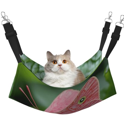 UYHhgqw Haustier-Hängematte mit Schmetterlingen, Samt, verstellbare Gurte mit Metallhaken, perfekt für kleine Haustiere UYHhgqw Haustier-Hängematte mit Schmetterlingen, Samt, verstellbare Gurte mit Metallhaken, perfekt für kleine Haustiere von UYHhgqw