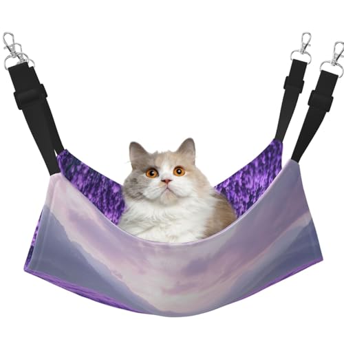 UYHhgqw Lush Lavender Haustier-Hängematte, Samt-Katzenbett-Hängematte, verstellbare Gurte mit Metallhaken, perfekt für kleine Haustiere UYHhgqw Lush Lavender Haustier-Hängematte, Samt-Katzenbett-Hängematte, verstellbare Gurte mit Metallhaken, perfekt für kleine Haustiere von UYHhgqw